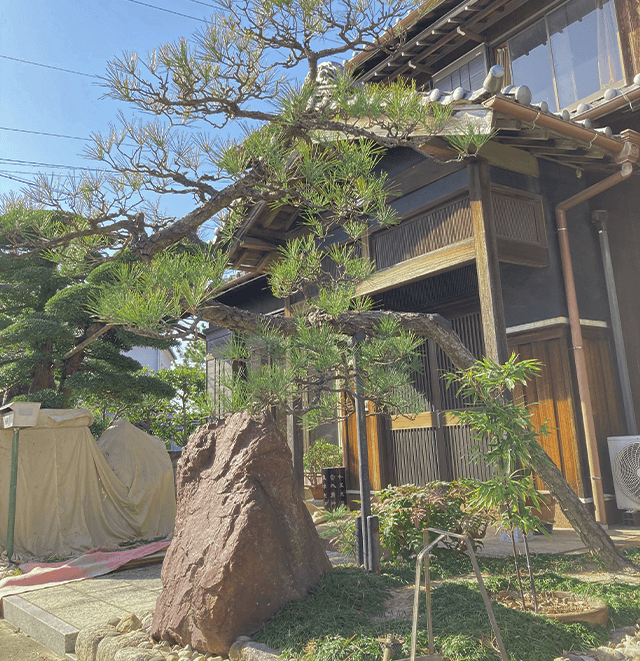 あなたの生活を彩る植物